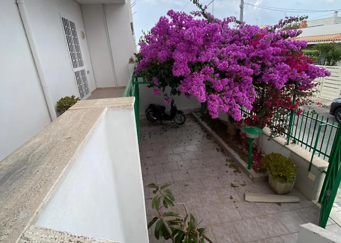 Zolazale A Mare Privato Apartment